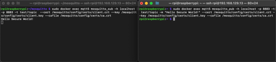 Testing Secure MQTT Subscribe and Publish with Mosquitto
