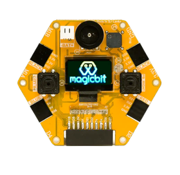 MagicBit board