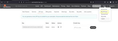 OpenWeatherMap Get API Key