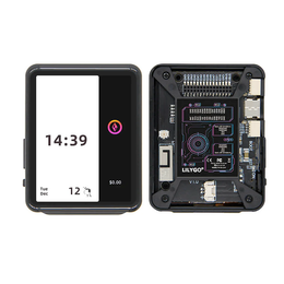 LilyGo T4-S3 board